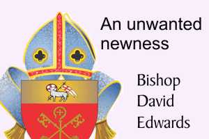 An unwanted newness – David Edwards