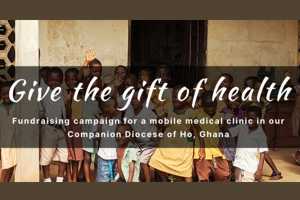Ho Mobile Medical Clinic Project