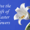 Give the gift of Easter flowers