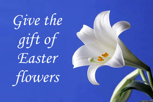 Give the gift of Easter flowers