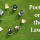 Poetry on the Lawn